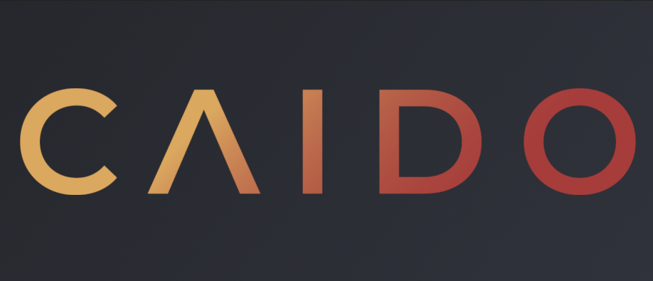 Caido 101: How to master it